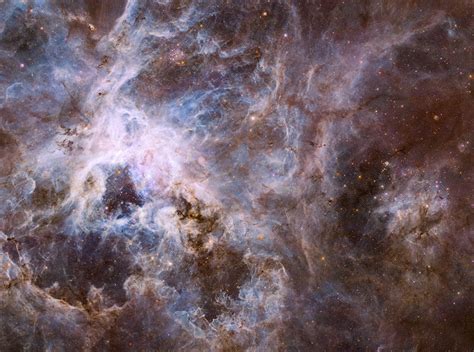 Cosmic Spider Amazing Tarantula Nebula Photos Space