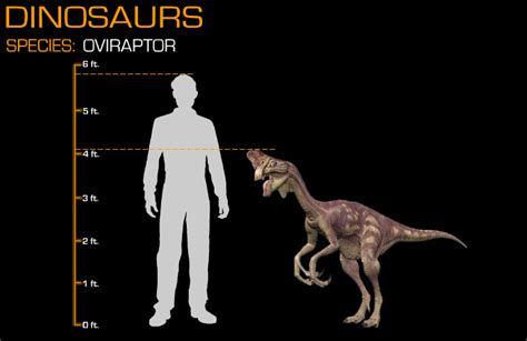 Disney Dinosaur Size Comparison Oviraptor By Wolfman3200 On Deviantart