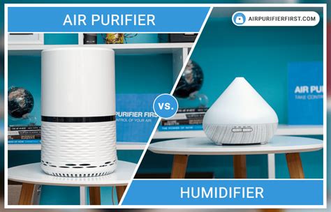 Air Purifier Vs Humidifier Difference And Comparison Environment