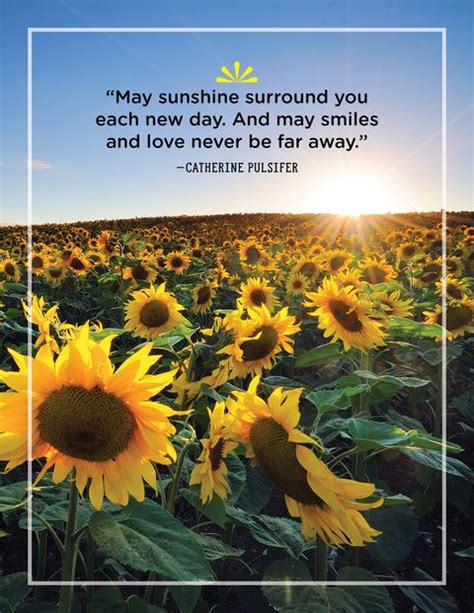 But i am a huge fan of. 40 Best Sunshine Quotes - Wise and Inspirational Sayings About Sunshine