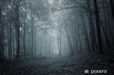 Mørk skummelt skog om natten PIXERS NO