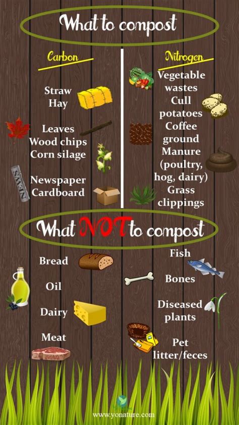 Composting Explained Conditions Benefits Problems Yo Nature