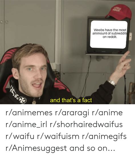 Weebs Have The Most Ammount Of Subreddits On Reddit And Thats A Fact
