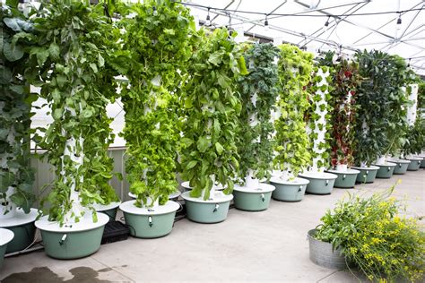 Best Hydroponic Tower Vertical Hydroponic System On 2024