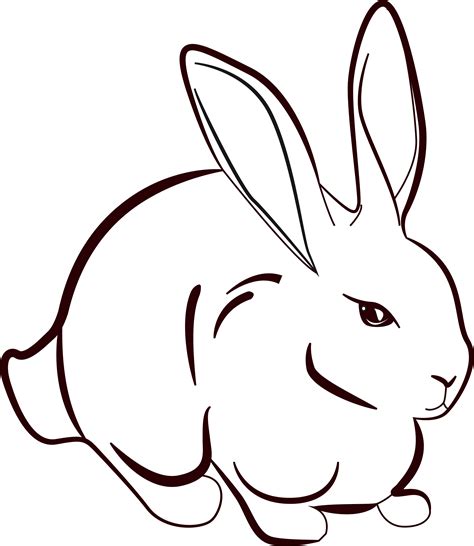 Rabbit Drawing Outline At Explore Collection Of