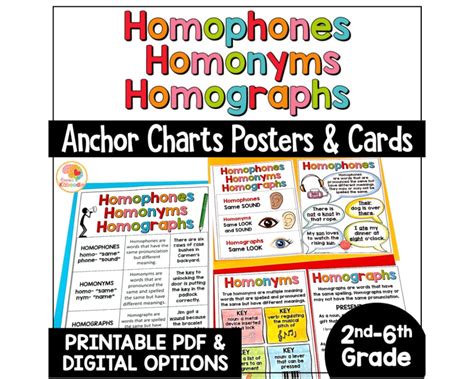 Homophones Homographs Homonyms Anchor Charts Reading Skill Etsy