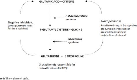 Figure 1 From Metabolic Acidosis With A Raised Anion Gap Associated With High 5 Oxoproline