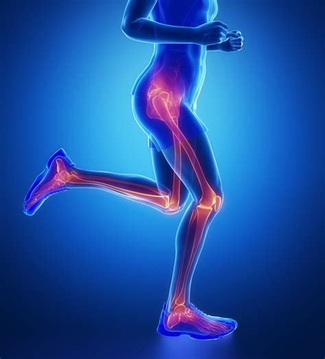 Lower Extremity Injuries Rothrock Massage Therapy State College Pa