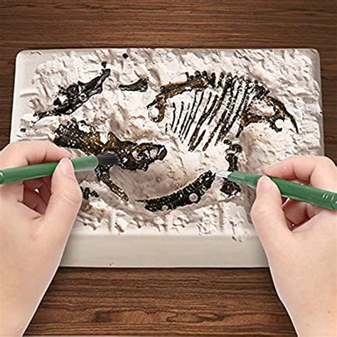 Dinosaures Et Créatures Préhistoriques Kits T Rex Toy Fossiles De