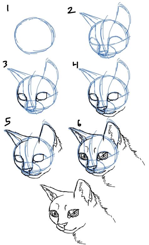 Drawing A Cat Face How To Draw Cat Facesheads 34 View Drawing
