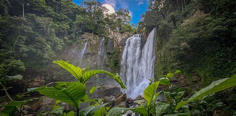 Nauyaca Waterfall Tour From Uvita Costa Rica Bookybee Uvita