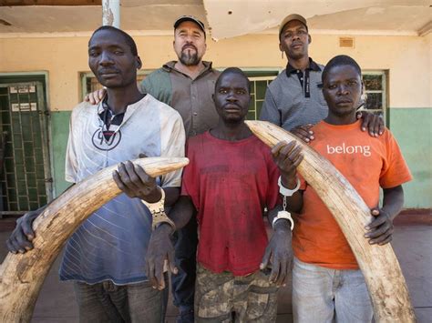Poachers Arrest Caught On Camera One Hour After They Shot An Elephant