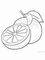 Grapefruit Coloring Gaddynippercrayons sketch template