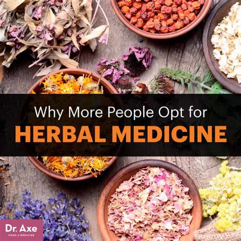 Herbal Medicine And The Top 10 Herbal Medicine Herbs Dr Axe