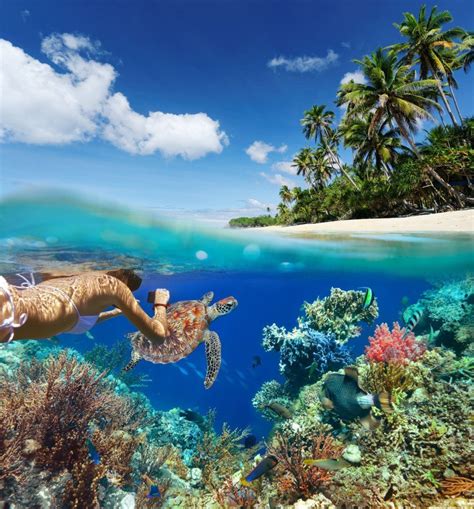 The 57 Best Snorkeling Spots In The World The Snorkel Store