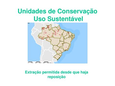 Porque As Reservas Extrativistas Sao Consideradas Unidades De Uso Sustentavel