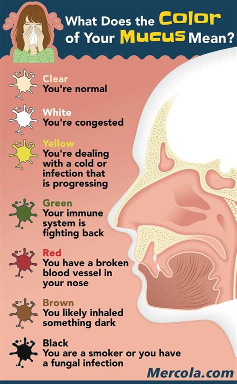 Nasal Mucus Color Chart