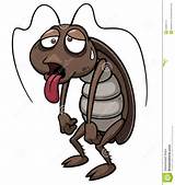 Images of Cartoon Cockroach