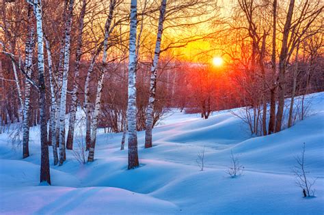 Colorful Winter Sunset Stock Photo Download Image Now Istock