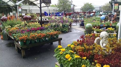 Introducing Our 6 Newest Retail Nursery Partners By Plantright Medium