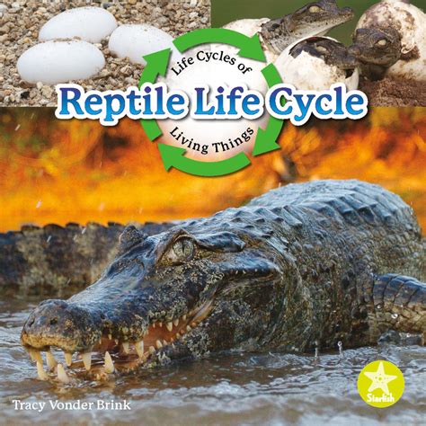 Reptile Life Cycle Crabtree Publishing