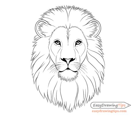 How To Draw Lion Face And Head Step By Step Easydrawingtips