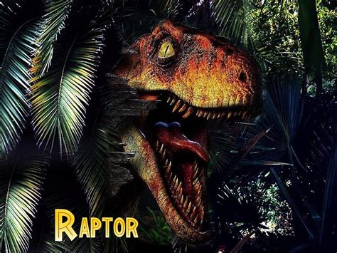 Velociraptor Velociraptor Background On Bat Jurassic Park