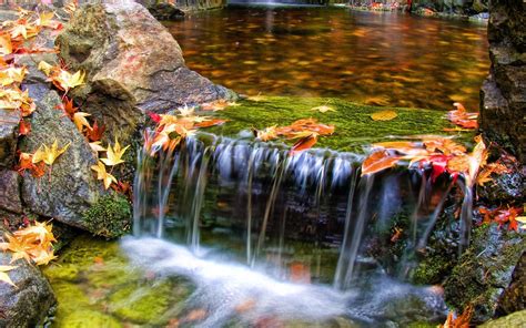 Beautiful Butchart Gardens Waterfall Nature Scenery