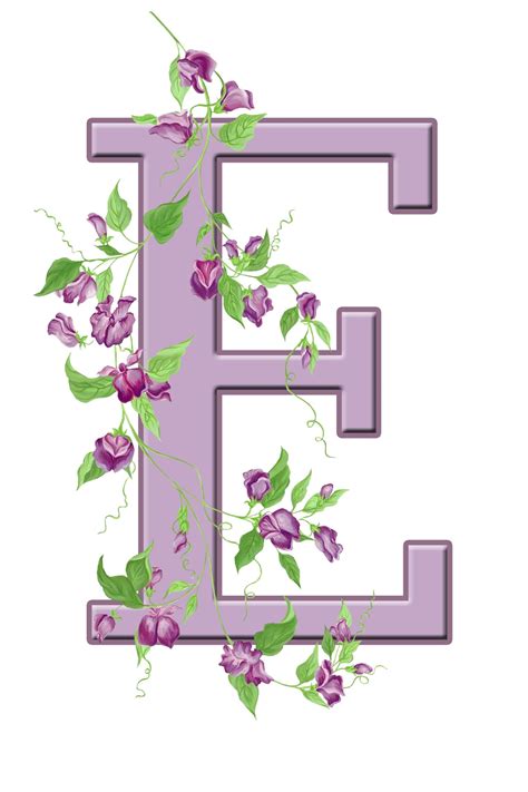 It is the most commonly used letter in many . Letter E Floral Initial Free Stock Photo - Public Domain ...