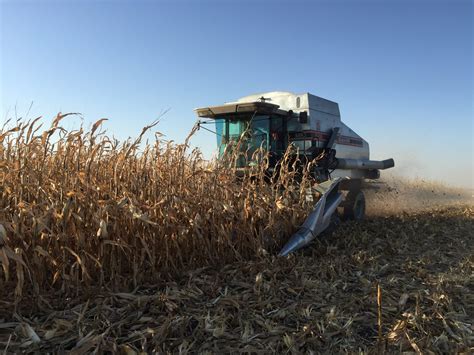 How Fast Are You Harvesting Corn Iowa Agribusiness Network