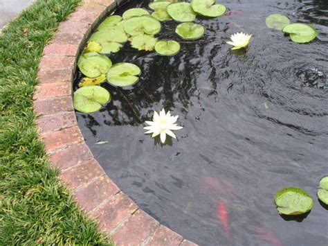 Concrete Pond