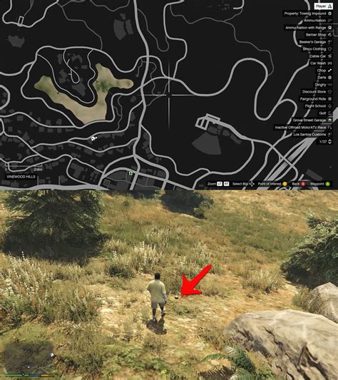Cara Menjadi Bigfoot Di Gta 5 Dan Semua Lokasi Peyote Plants Dunia Games