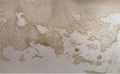 What causes those long parallel dark stains on building interior ceilings? This water stain on my ceiling resembles a very old map ...