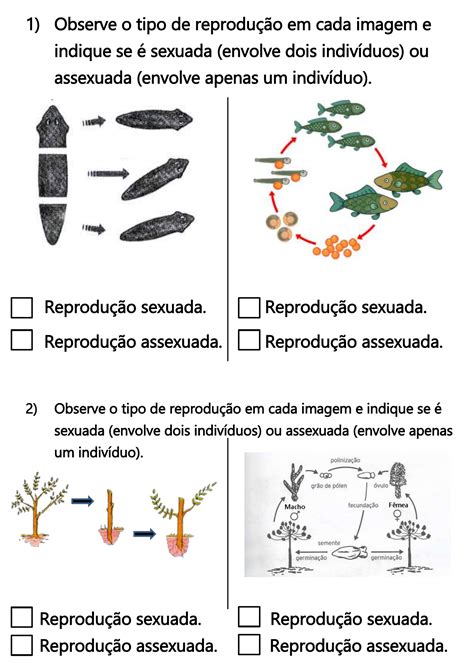 Atividade Reprodução Sexuada E Assexuada