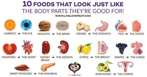 Plant Based Foods That Look Just Like The Body Parts Theyre Good