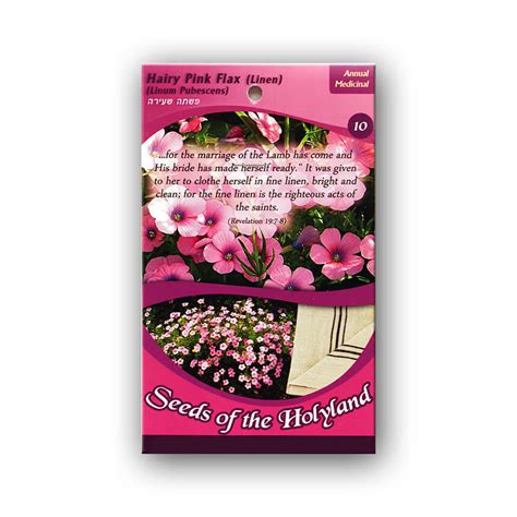 Seeds Of The Holyland Hairy Pink Flax Linen Yardenit Baptismal Site