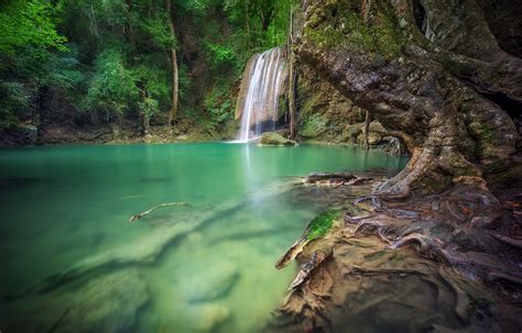 Waterfall Forest Roots Thailand Tropical Trees Green Nature
