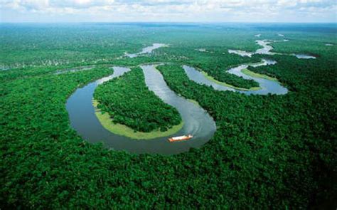 Nephicode The Little Known Continent Amazonia