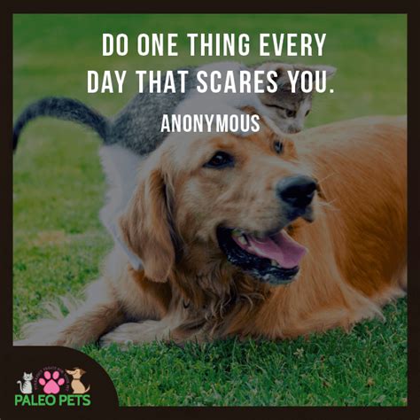 Happy Thursday Pet Lovers ️ Do Something Everyday That