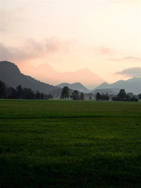Nature Landscape Panorama View Of Green Grass Field Meadow With Alps