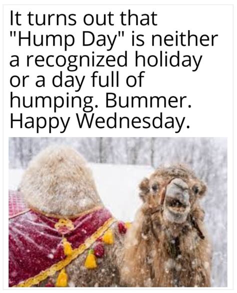 Hump Day Humor GAG