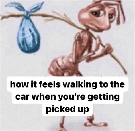 How It Feels Walking To The Car When Youre Getting Picked Up Sad Ant With Bindle Homeless