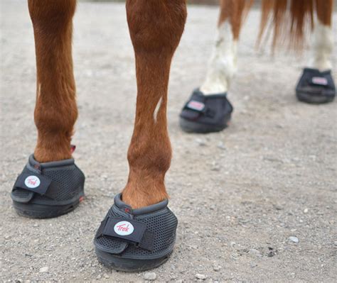 Cavallo Horse Boots The Best Horse Hoof Boot When It Clicks