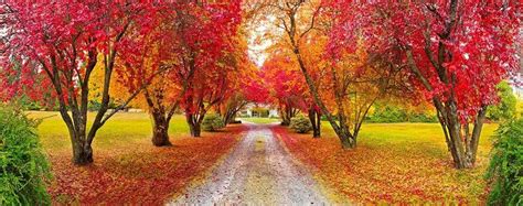 Stunning Autumn Colours Arrowtown Nz A Scenic Day Trip From Wyndham