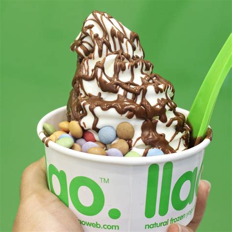 A magnificent indoor / outdoor pool, 18 holes of golf, an amazing spa and activities for adults and children. Llao Llao Frozen Yogurt, Central Park