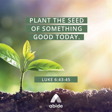 Planting Good Seeds Luke 643 45 Abide