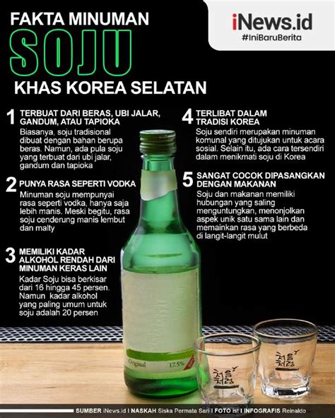 Infografis Fakta Fakta Minuman Soju Khas Korea My XXX Hot Girl