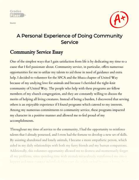 Community Service Essay Examples Telegraph