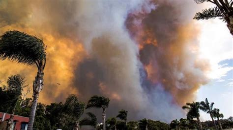 Faulty Power Lines Likely Cause Of Tathra Bushfire In New
