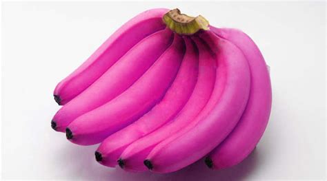 What Color Banana Is Right For You Live Wise Naturals World